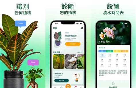 免費植物|植物 App 推薦：精選 8 款植物辨識 App、植物日記 App、植物花。